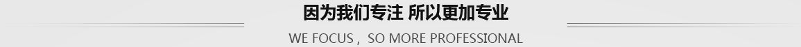 因為麻豆久久成人一区專注 所以更加專業
